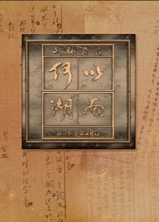 星之回响